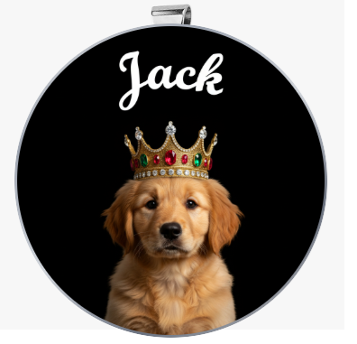 SuperDog Tag - Custom AI Superhero Design